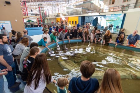 在联合车站圣路易斯水族馆